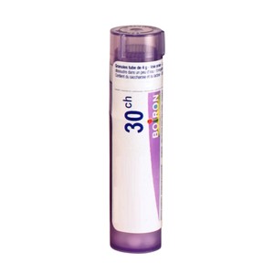 OCIMUM BASILICUM 30CH - Tube