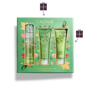 Coffret Parfumé Fleur de Vigne Noël 2020
