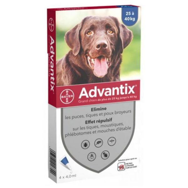 Advantix Grand Chien Spot-On - 4 pipettes